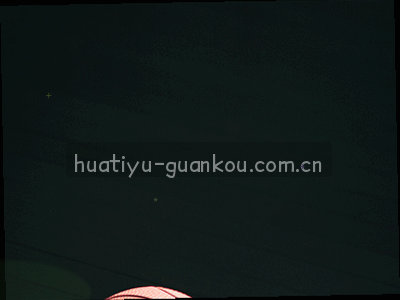 设备经由智能DNS连接服务器节点，实现大陆版华体育网通道稳定访问的示意图